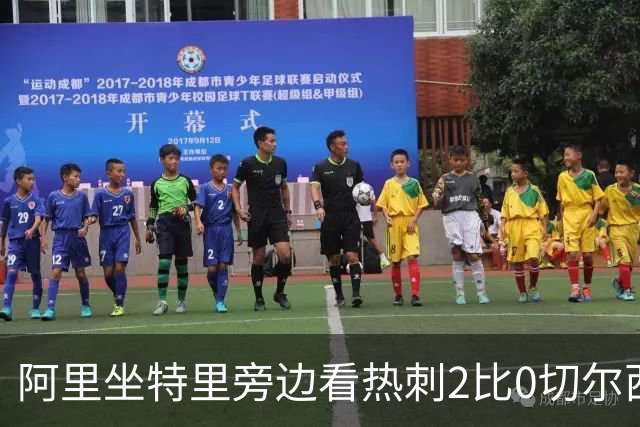 阿里坐特里旁边看热刺2比0切尔西，赛后发空座位调侃